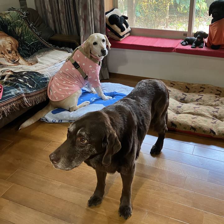 6ff71ad7 c2e1 49ef 98e0 001d3aa4ef39 1774083202452