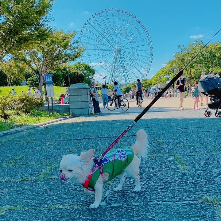 6ff72a88 d603 42a2 a8d1 9020666e0bfd 1632123429033