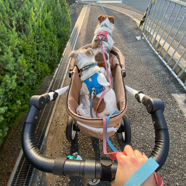 6ff735ef e0f8 4bd4 af5a a05653dd7391 1721599598102