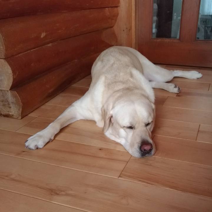 6ff7620d a747 451d 9e58 7fb2cf66ff8e 1564894484373