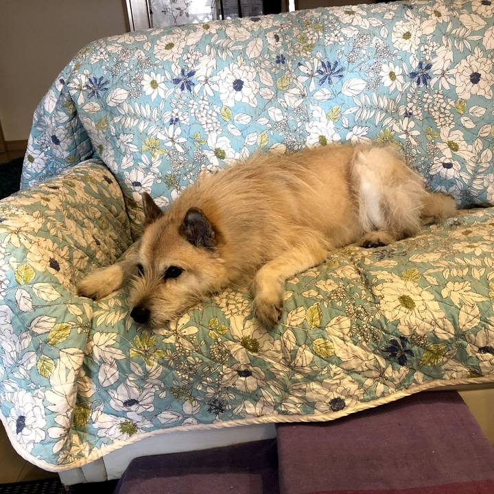 6ff776b9 1e78 412c b555 f5ae29720688 1557559415442