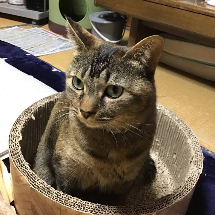 6ff79833 1ff4 4a92 9b7d da6c8de1dab3 1707210897813