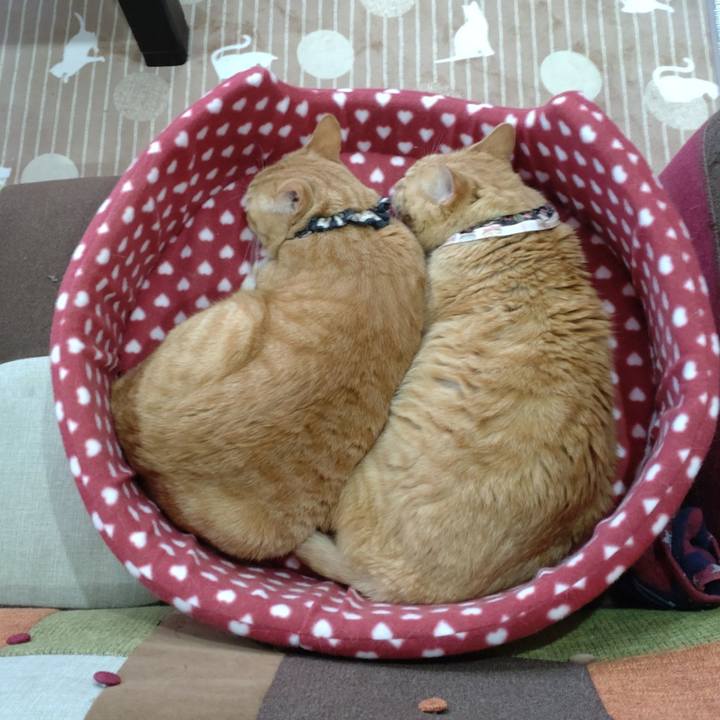 6ff7a40d 5921 4868 afb4 235215aa0566 1669621849654