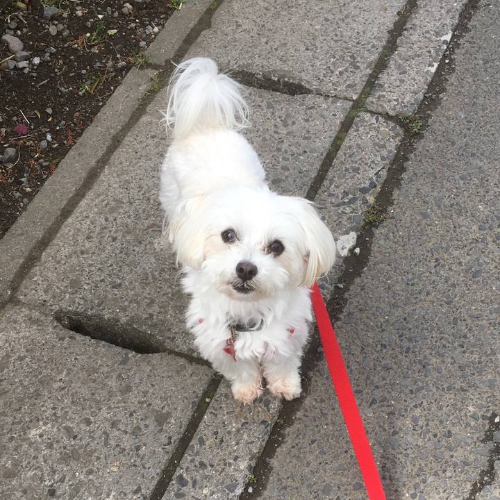 6ff7e961 22d6 4fb0 85f5 7acb7d963307 1523842439039