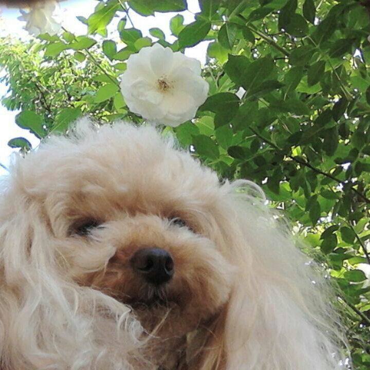 6ff81544 a6e5 45eb 96e9 7e5c96074467 1528023678146