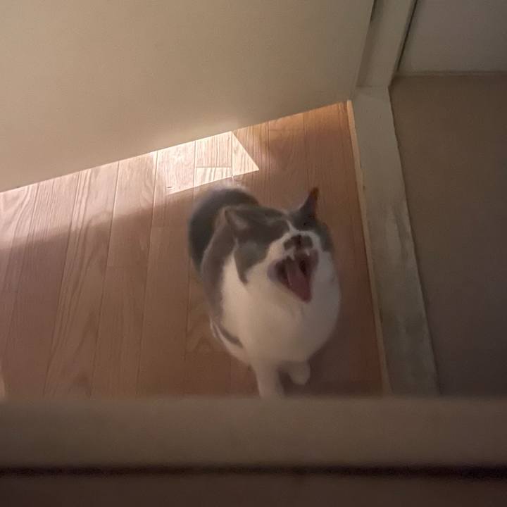 6ff83d03 862e 4577 b4bc 07a600373ef1 1702623184501