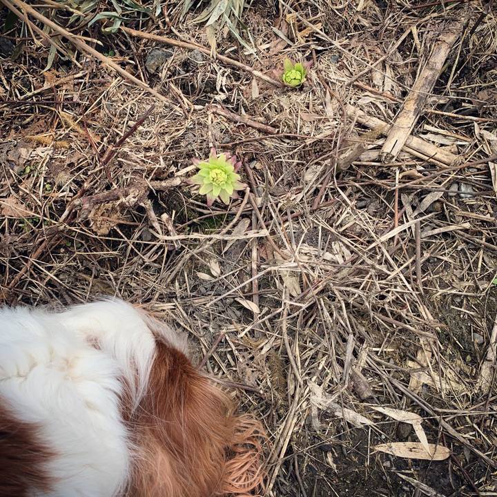 6ff8568f 57d7 4dd8 a8ae 88a0b7c851f1 1616644974852