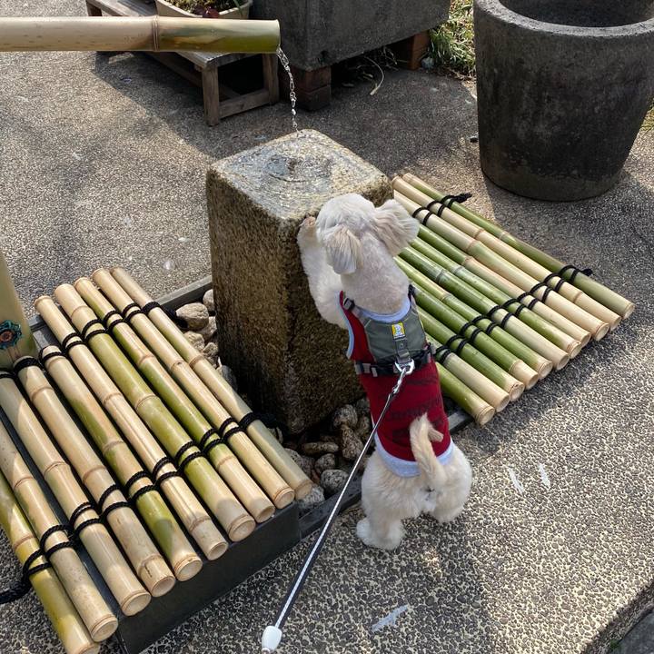 6ff86338 3fb3 4601 a9f5 7a6b7b8fd644 1647229119881