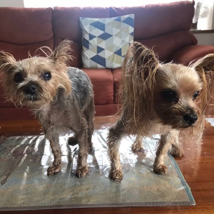 6ff86df7 ed94 48ac b264 b59381a44a5e 1605866383219