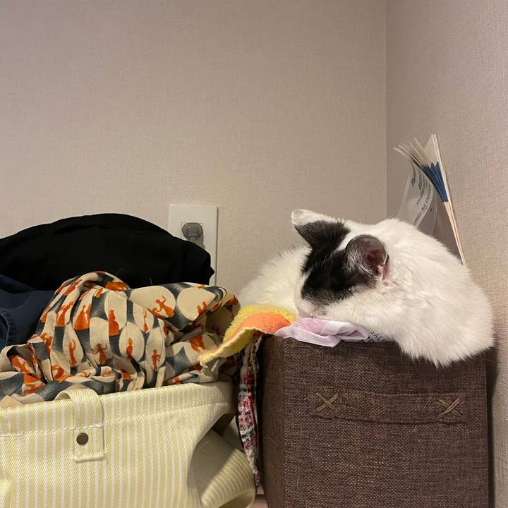 6ff877d9 ca59 4c9e 8dfd bd5cf28077f8 1665194027525