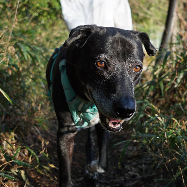 6ff88285 9743 4c25 9a27 f02a772782ae 1772867185030