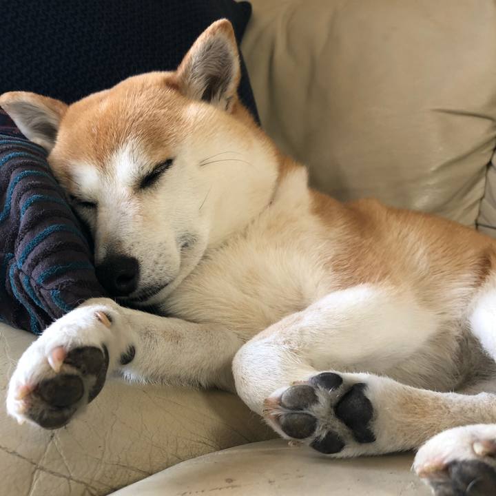 6ff882cb 80eb 49f7 afc1 5899e5806d5d 1620952953545