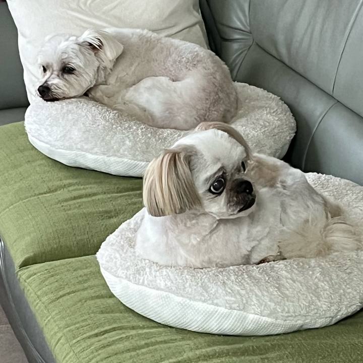 6ff8b148 6b7c 4c29 9f16 3dece730baf8 1687504572948