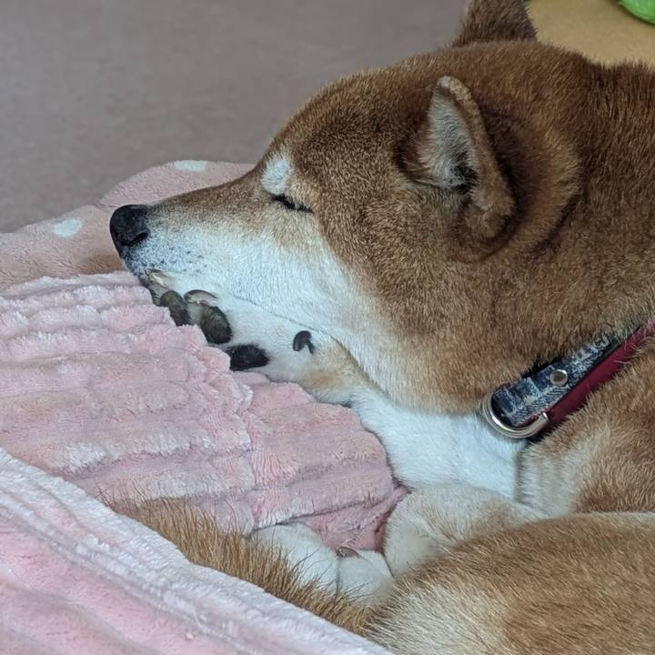 6ff8c24d 9990 4f14 8990 e5632909a80a 1743389601969