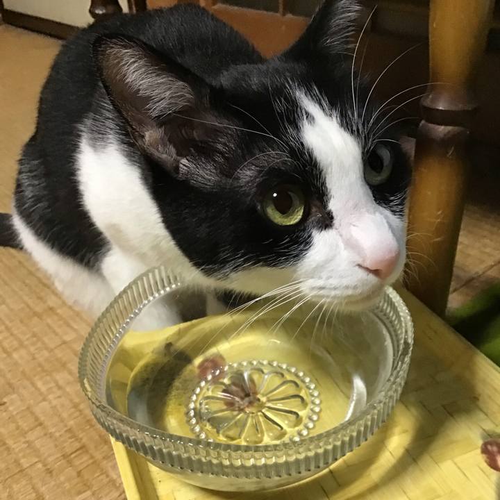 6ff8de5d c190 4699 bb5e 04c024d32f13 1759835715935