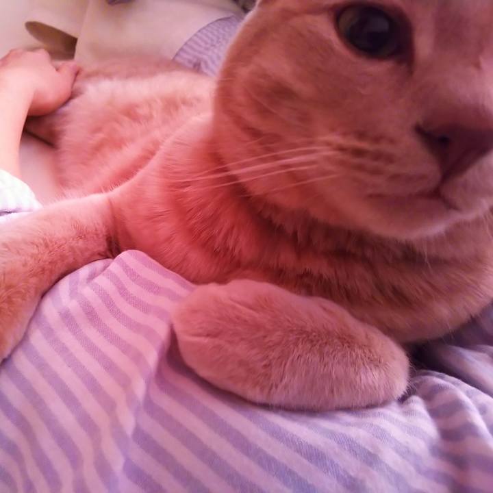 6ff8f0bf 8e37 4f13 9713 3c0026d53101 1651970211356