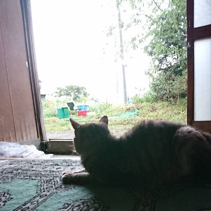 6ff9014d 94ae 470f 9887 26a4c5553734 1598819139204