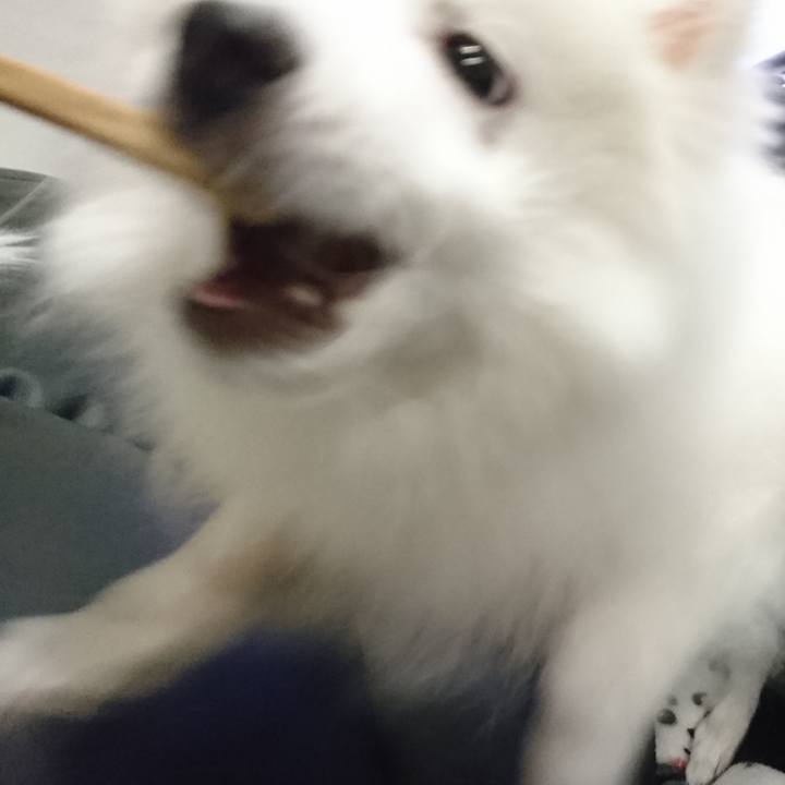 6ff91d84 dfa5 49ab b551 f12c390755bd 1550151472649