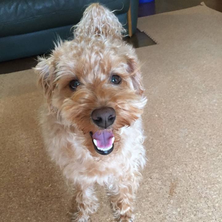 6ff94f5a 9770 40cc a28e fb0415f8c644 1522103740717