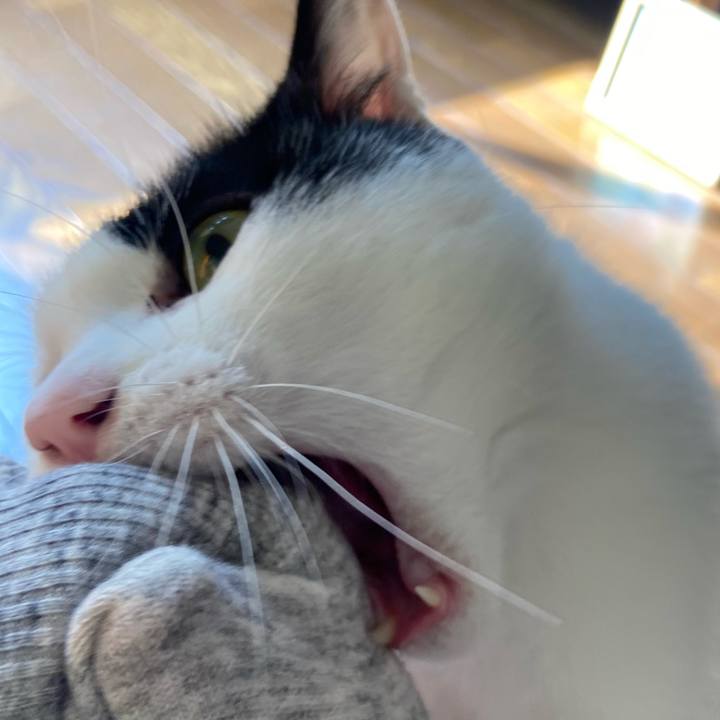 6ff95f15 76af 428d a7a7 59d097905bb4 1584231779913