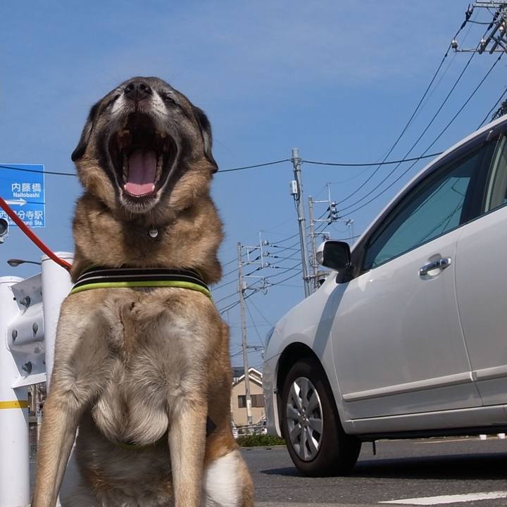 6ff95f95 084e 45ae be38 313851b09d17 1582125450092