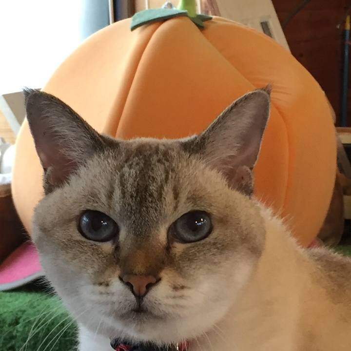 6ff96b66 3ed8 41f0 8ad7 13dbec3877f2 1571811207010