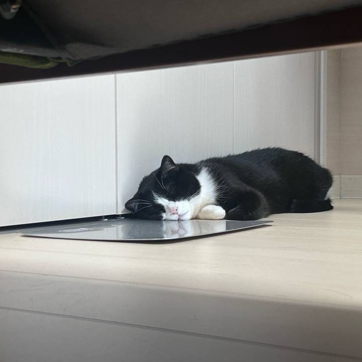 6ff97334 8cf7 4cfc ad32 35899e9af7ad 1751198825120