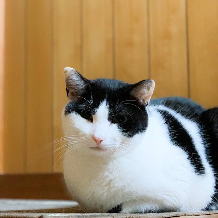 6ff9c17c 721d 4c0a 9f0b 3c85a78eee1a 1588033730760