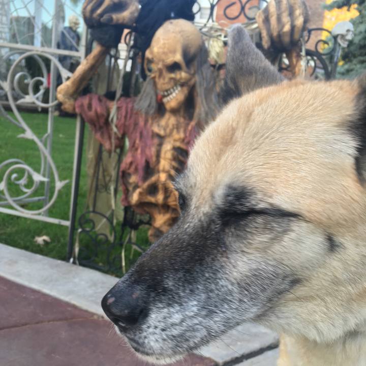 6ff9c730 1af7 4b44 8436 06c5fc8d8266 1572488281239