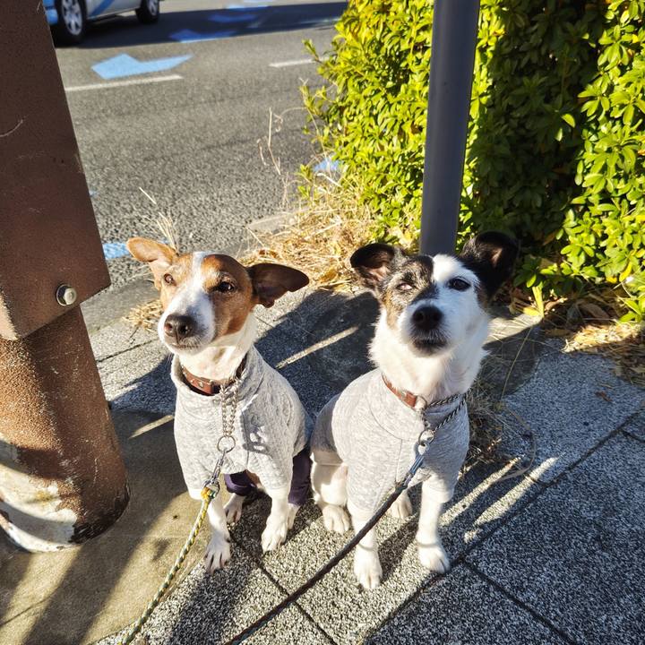 6ff9e0c7 dbdb 4cfb a2dd 2a7df471e901 1735949169651