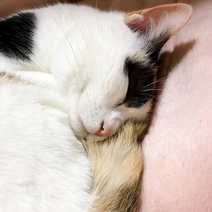 6ffa1aee f0af 4ff2 b896 946117d89e4d 1525615937184