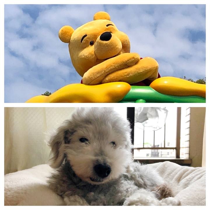 6ffa2e98 71cf 4360 b063 9d70fbfa0067 1655078696602