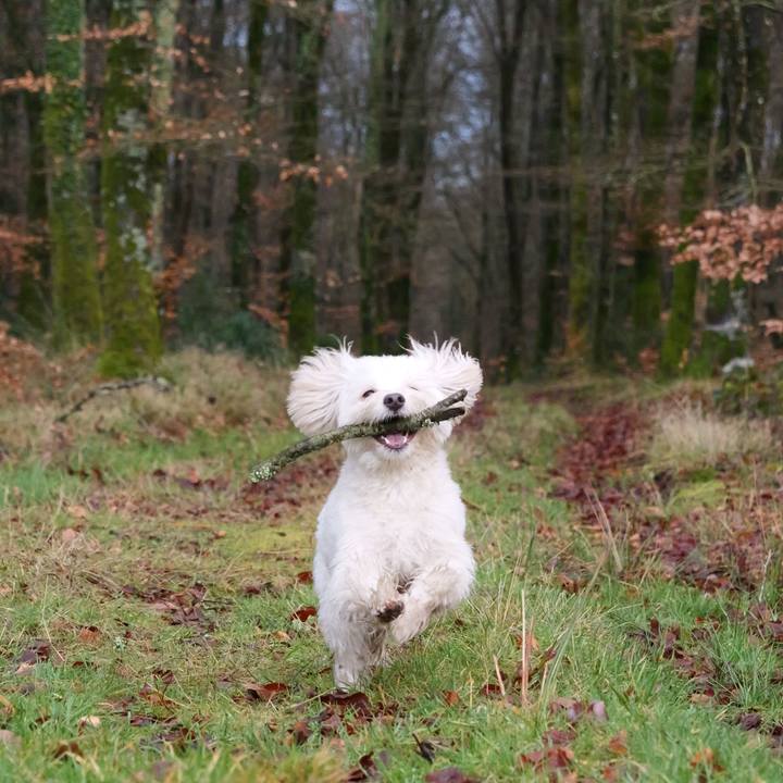 6ffa78ed 8896 4e13 a501 2c17431ffb19 1771177603602