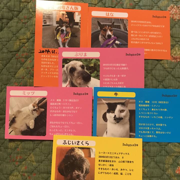 6ffa7fb2 ff36 4df0 898e 9e6d0f46d7a6 1509173095094