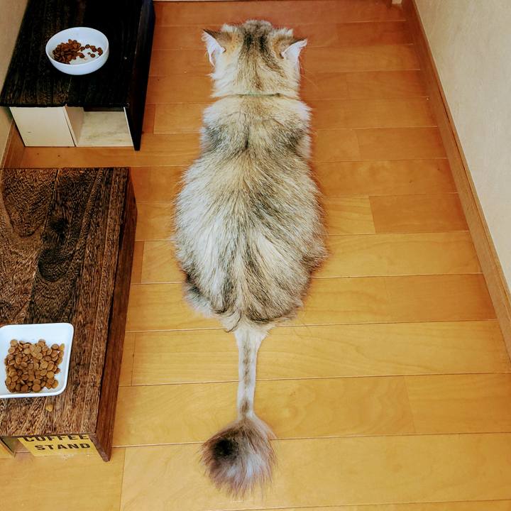 6ffac272 b0c5 4ebb 9cc4 6bfa277b37af 1718343891132