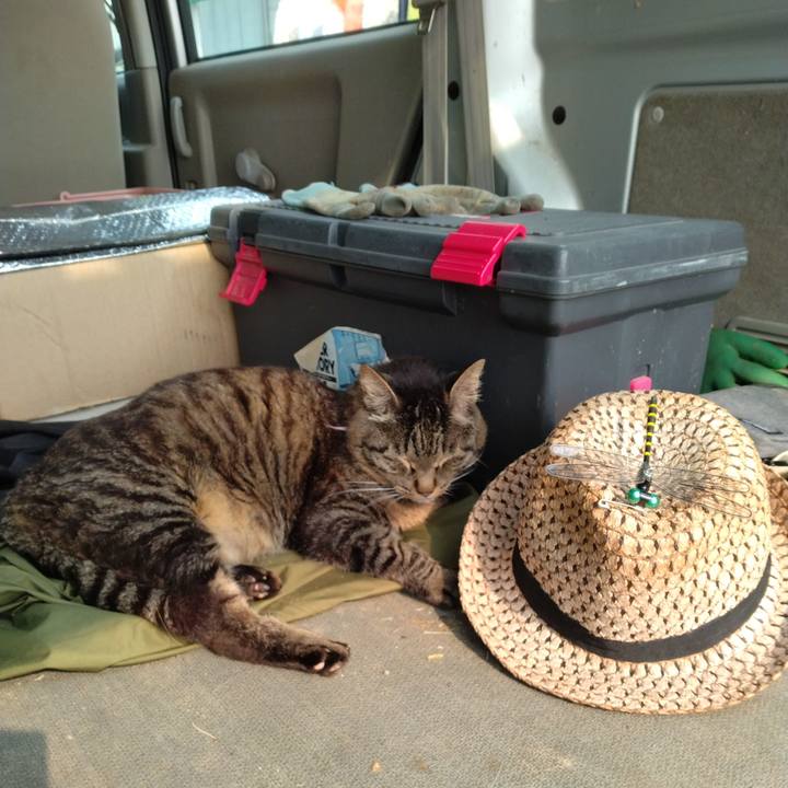 6ffb1a35 d721 491b a4eb e8ada69a5987 1720825880184