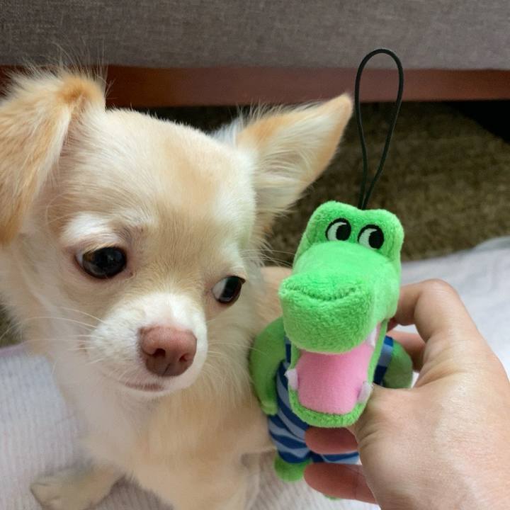 6ffb41dc 3ef4 45e3 b0b3 8b9c5cbcaa15 1601193214285