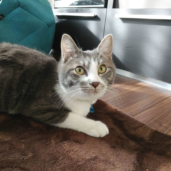 6ffb6ea3 3942 4d8f b947 3601845bcb19 1578361609717