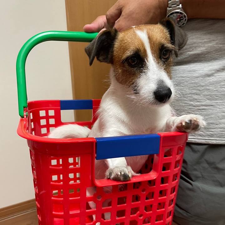 6ffb80c7 542b 4a34 a670 e5478055701b 1691712375001