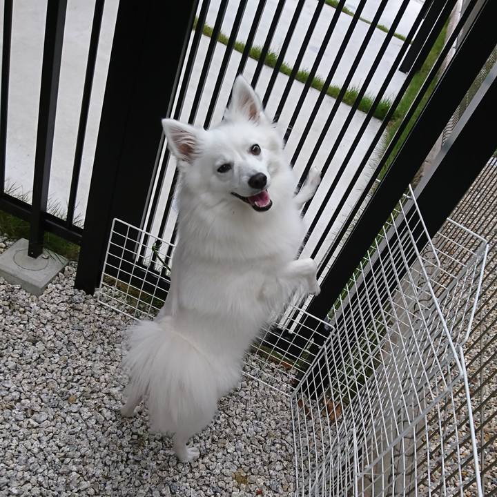 6ffb8bda 0019 4d6c b606 cdaf22a6ea14 1542090334986