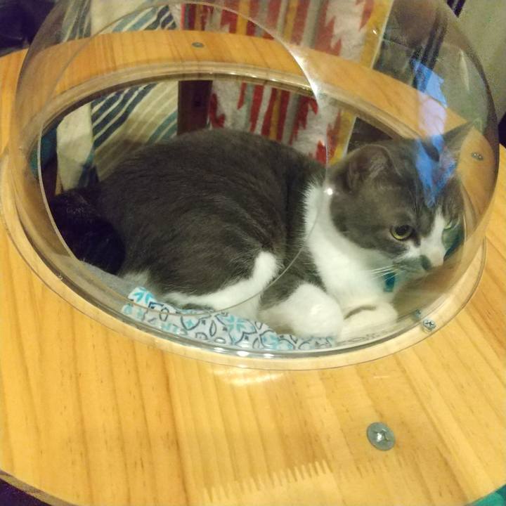 6ffba19b a300 4ac6 97eb 1ab4011e32f4 1622118113814