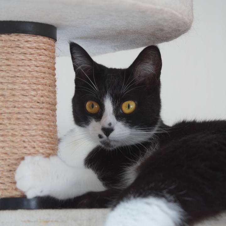 6ffbabd2 698b 4b2c bfd2 db3ac401dbe3 1656119685353