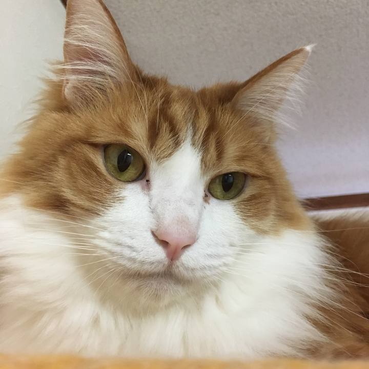 6ffc50a4 179f 4707 9d54 d352315ed151 1517040002339