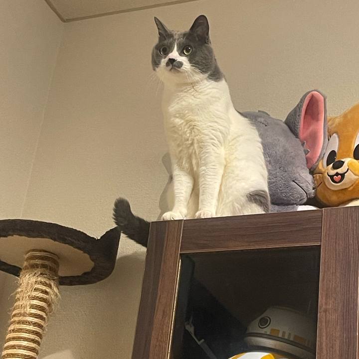 6ffc59f8 0e7c 46bc b1db fef3f7e0e007 1741794799206