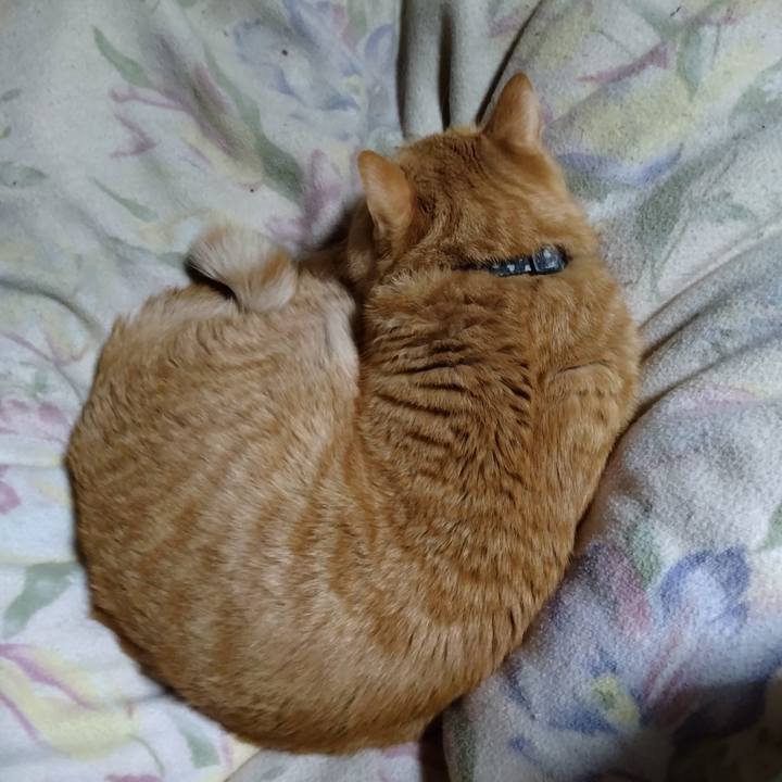 6ffc622b bc5b 4011 aeb6 b32bbaf902e7 1680092233508