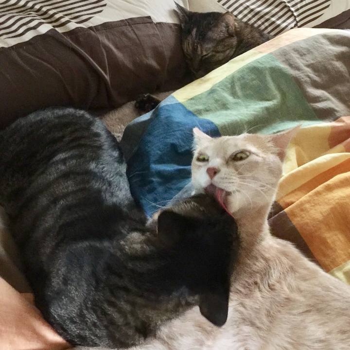 6ffc6e9d 6361 4223 b8c3 cdc97d3ae0f1 1548244201294