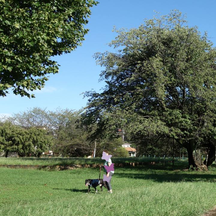 6ffc77e5 1d80 4569 993d 374b013a562b 1725239599706