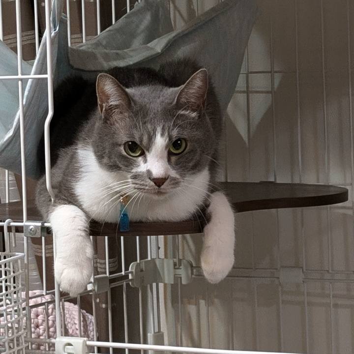 6ffc87f1 124a 484a b5a1 1ec244323638 1730642147451