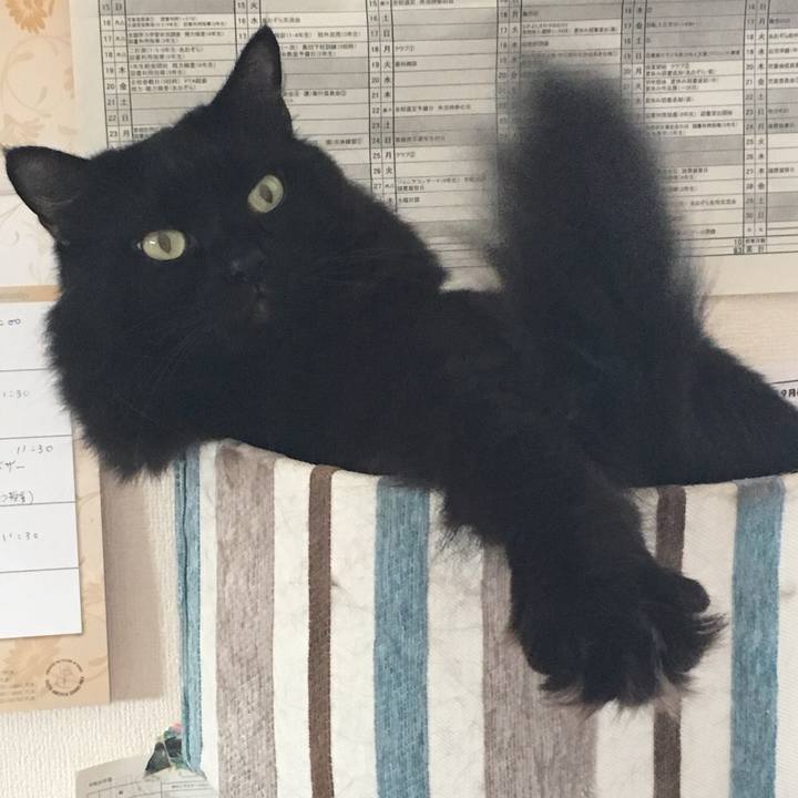 6ffcab5f 3b66 4236 bf4c 0464cde031ff 1536719793942