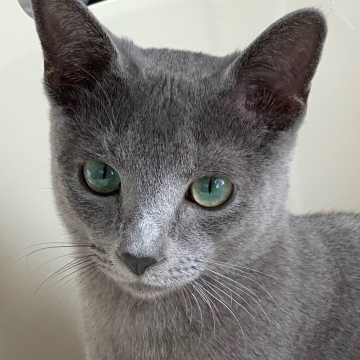 6ffcdf84 665e 440a a31e c96c3cea8f64 1574995066965